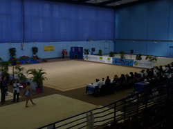 Illustration de la galerie