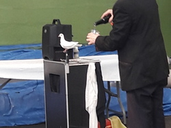 Illustration de la galerie