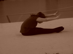 Illustration de la galerie